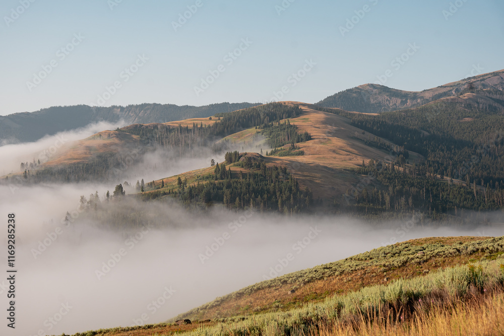 Obraz premium mountain landscape with morning fog
