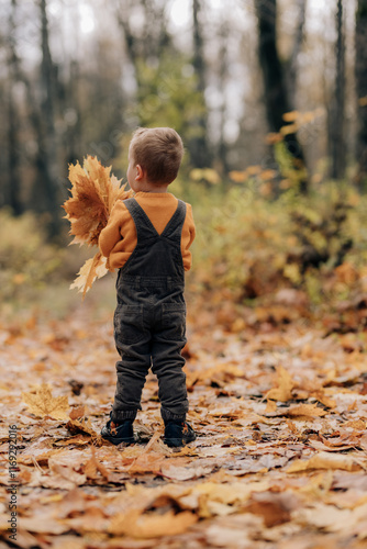 A little boy in a yellow sweater stands in a park with leaves