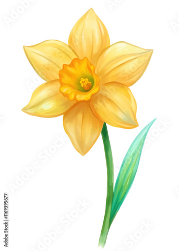 Bright yellow daffodil flower, vibrant petals, detailed botanical illustration, nature art, floral design, spring theme.