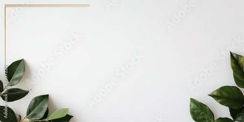 Green Leaves Frame White Ba...