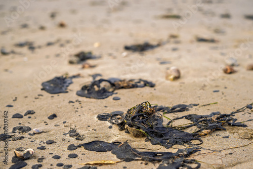 Sandy seashore with oil stains after spill, copy space for describing tragedy in animal world, ecological tragedy