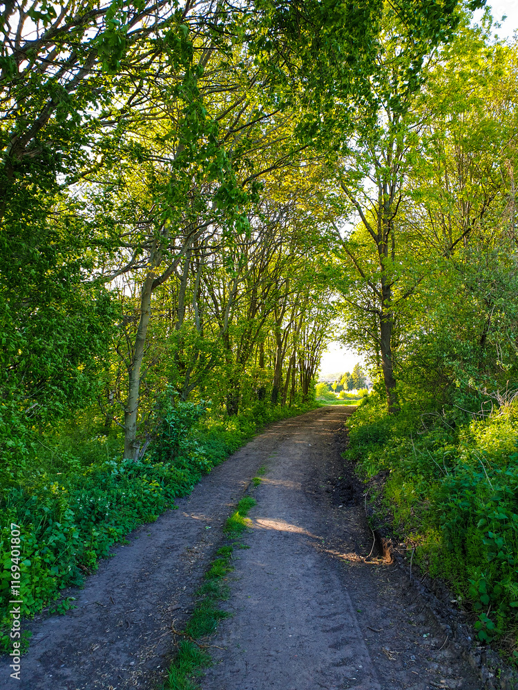 Exploring the countryside in Nottinghamshire, UK. Exploring the countryside in Nottinghamshire, UK.