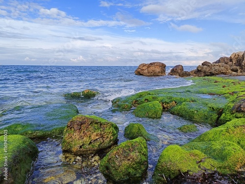 Paisaje marino rocoso mediterráneo con algas de color verde y cielo azul con algunas nubes blancas