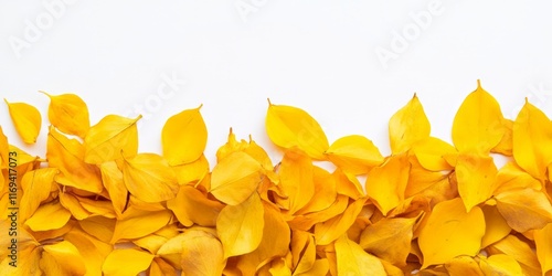 Golden Autumn Leaves Border...