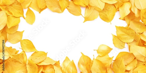 Golden autumn leaves frame ...