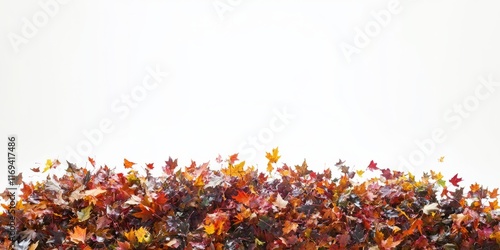 Autumn Maple Leaves Pile Ag...