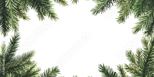 Watercolor Evergreen Branch...