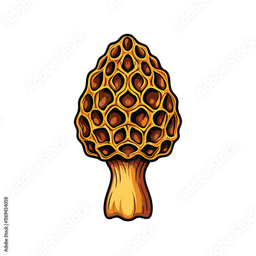 A detailed vector illustration of a morel mushroom with a honeycomb-like texture.