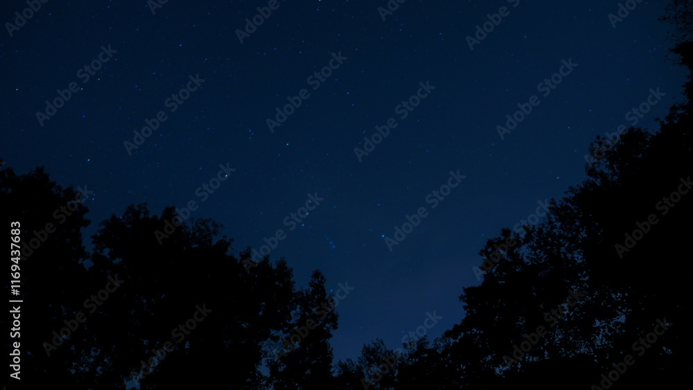 Naklejka premium Night sky with stars