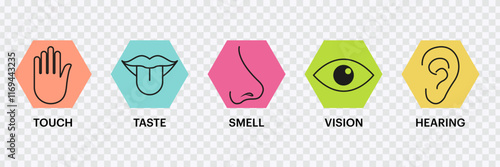Human Senses Icons Set – Vision, Smell, Hearing, Touch, Taste