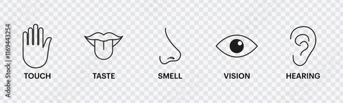Human Senses Icons Set – Vision, Smell, Hearing, Touch, Taste