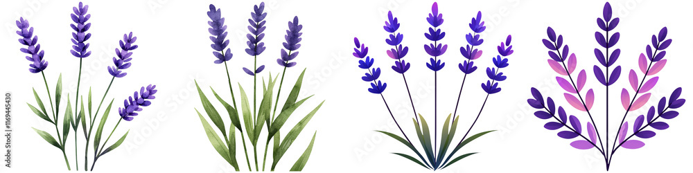 Fototapeta premium Watercolor lavender design and botanical minimalist, A collection of stylized lavender flowers with vibrant purple hues and green leaves.