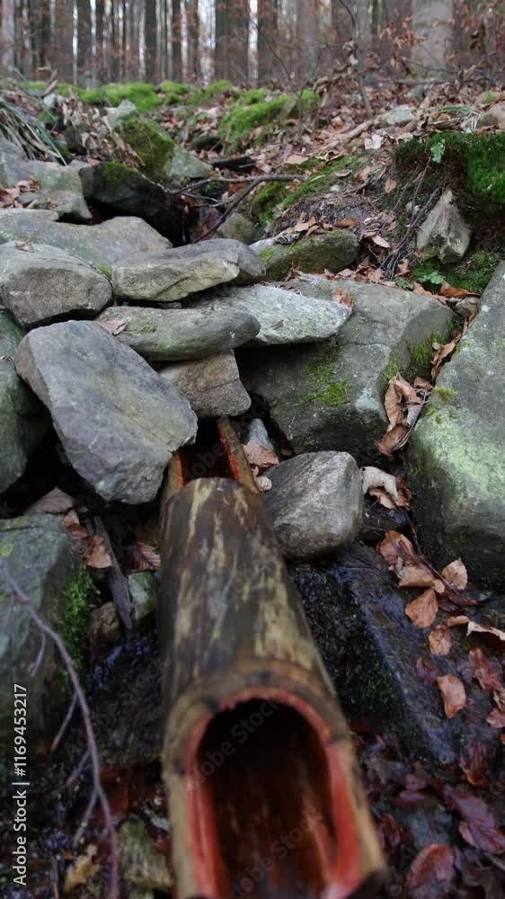 A small spring flowing through a wooden pipe between the stones. A source of drinking water in the forest A small spring flowing through a wooden pipe between the stones. A source of drinking water in the forest