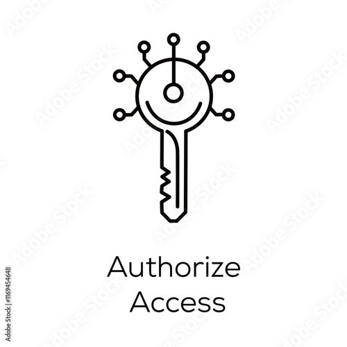 Authorize Access Icon – Key and Nodes Representing Secure Access Permissions