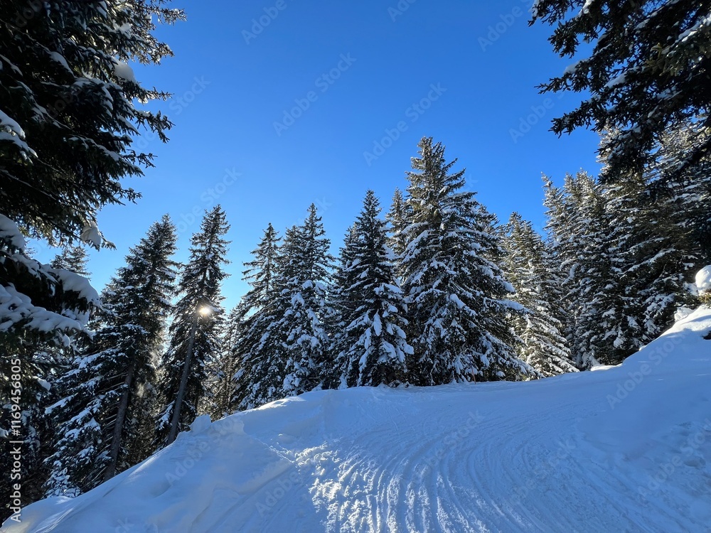 Fototapeta premium Amazing sport-recreational snowy winter tracks for skiing and snowboarding in the alpine Swiss tourist resort of Davos - Canton of Grisons, Switzerland (Kanton Graubünden, Schweiz)
