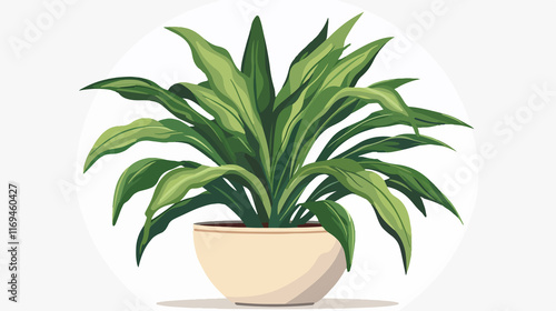 Modern Indoor Potted Corn Plant Dracaena Illustration