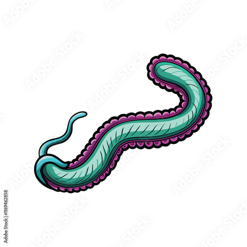 A vector illustration of Vibrio cholerae, a curved, rod-shaped bacterium responsible for cholera.
