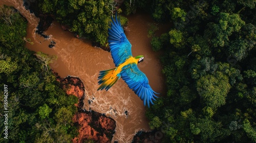 Amazonian Macaw in Flight: Aerial View of a Vibrant Bird Soaring Over a Lush Rainforest River
