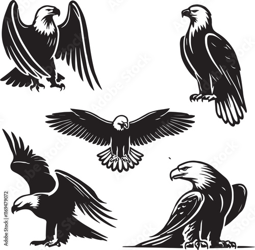 silhouette set of bald eagle sitting poses، wildlife design vector