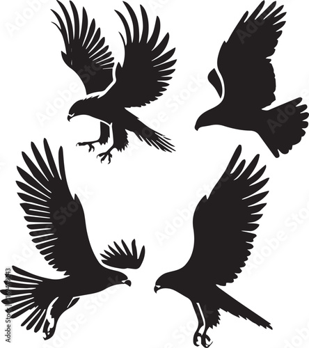 silhouette set of red tailed hawk flying poses,black and white hawk illustration