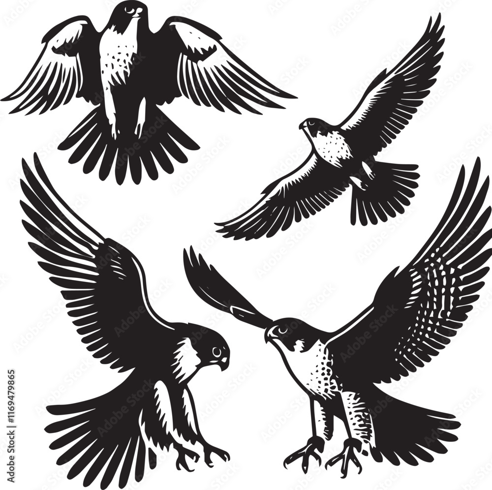 Fototapeta premium silhouette set of peregrine falcon flying poses, 