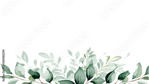 Watercolor had drawn  leaves, simple soft background design, blank wallpaper vector illustration.Seamless herbal composition for wedding or greeting card. Spring Border with leaves eucalyptus.