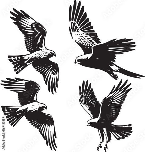 silhouette set of northern harrier flying poses, black and white illustration
