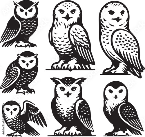 silhouette set of snowy owl sitting  poses,black and white owl illustration photo