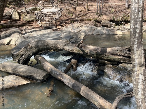 flowing creek with trees and rocks