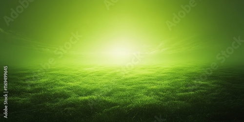 Serene Green Field Undernea...