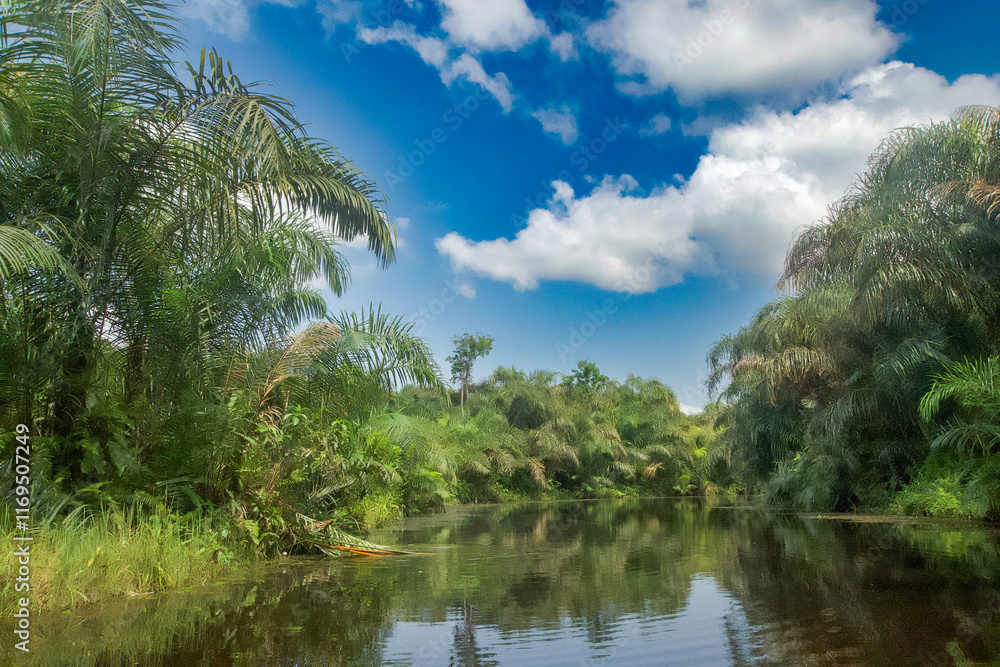 Beautiful view of the Black River