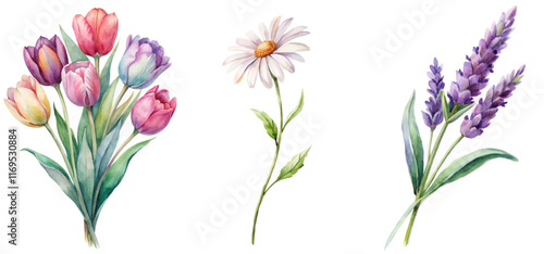 Colorful watercolor flowers, vibrant tulips, delicate daisies, fragrant lavender, botanical illustration, floral design, nature art.