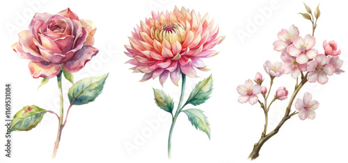 Beautiful watercolor flowers, vibrant rose, stunning dahlia, delicate cherry blossoms, floral illustration, botanical art.