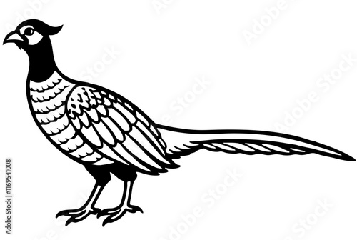 Minimalist Black and White Pheasant Vector Illustration