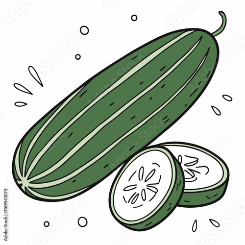 illustration of a cucumis sativus vector design