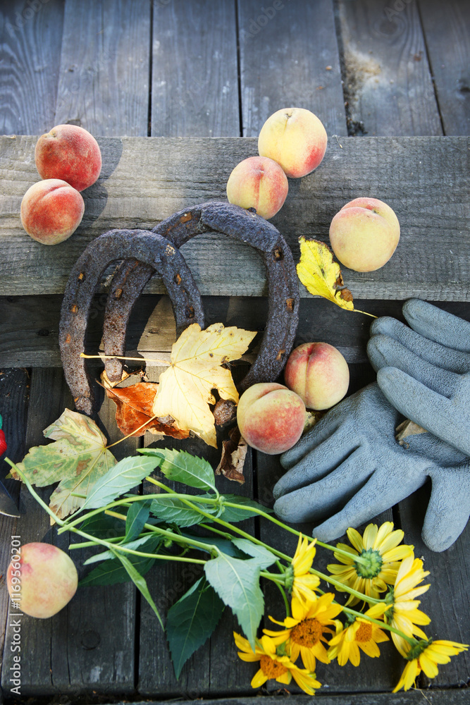 Horseshoes and fruits on a wooden table. Classic country autumn decoration.