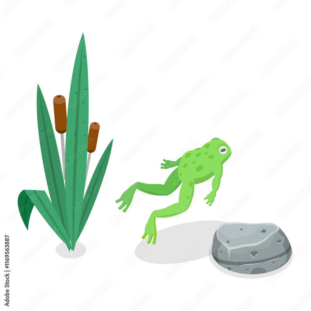 Fototapeta premium 3D Isometric Flat Vector Set of Cartoon Frogs, Toad Life Cycle. Item 2