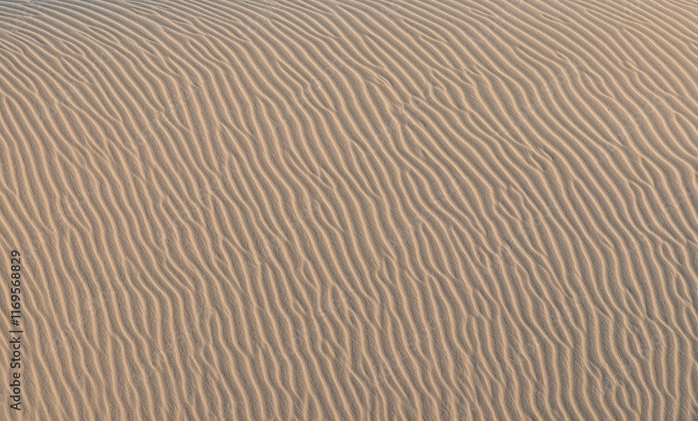 The wavy sandy surface of the dune. Rest and relaxation at a resort by the sea. The wavy sandy surface of the dune. Rest and relaxation at a resort by the sea.