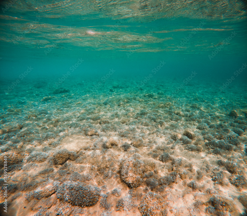 Fototapeta premium Kroatien Strand Unterwasser 