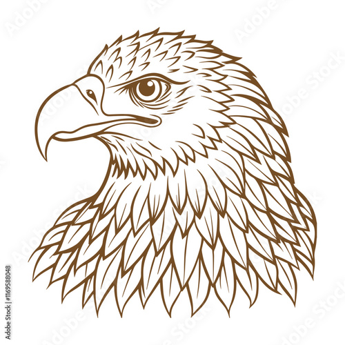 Hand-drawn eagle flying drawing illustration