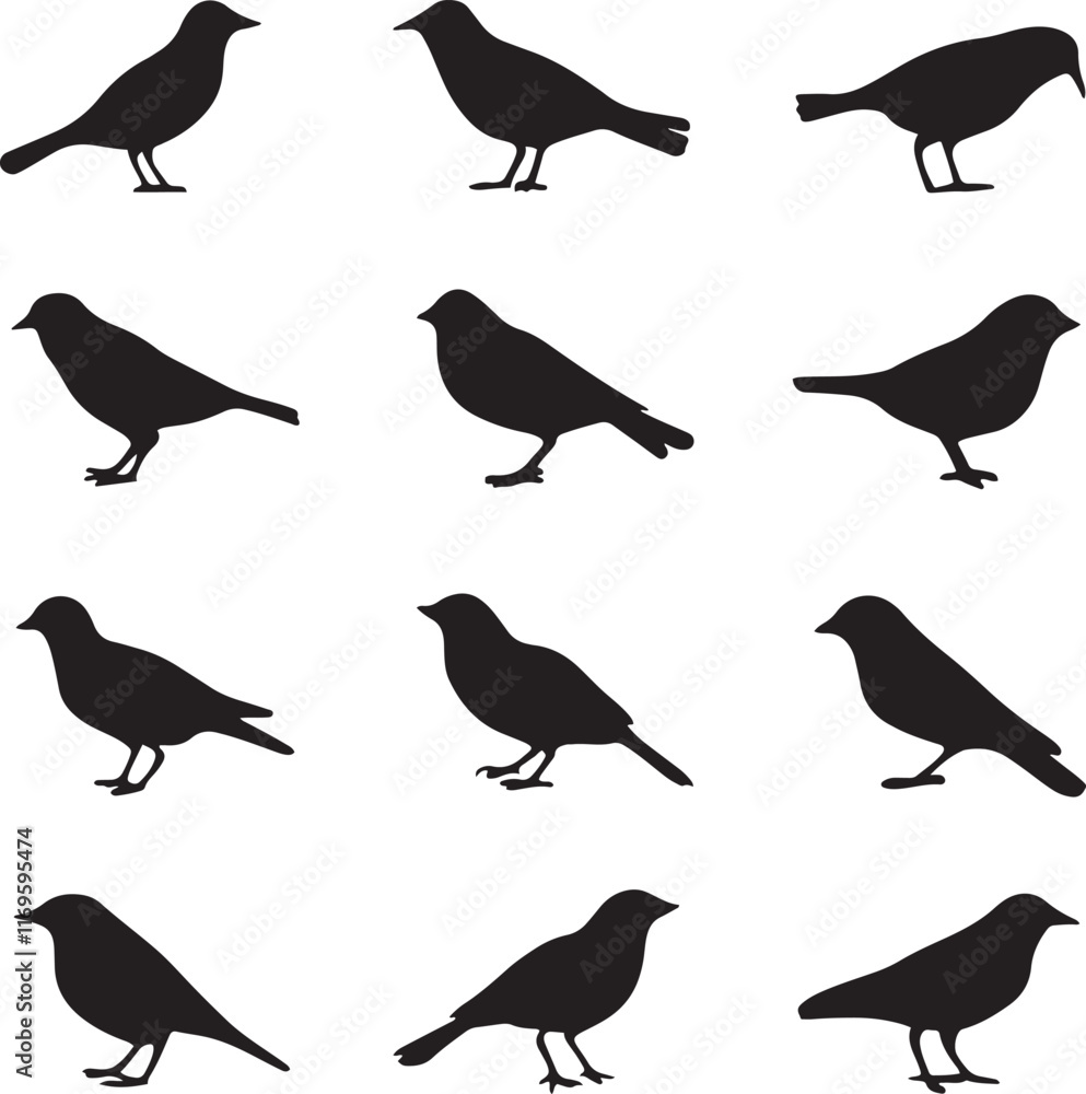 Fototapeta premium Silhouette birds icon vector illustration set collection