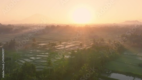 Magical sunrise aerial view of Bali field covered with mist, Indonesia