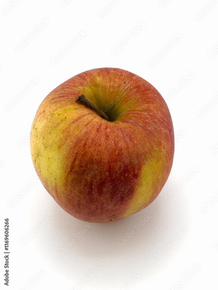 Red and Yellow Apple Isolated on White Background Red and Yellow Apple Isolated on White Background