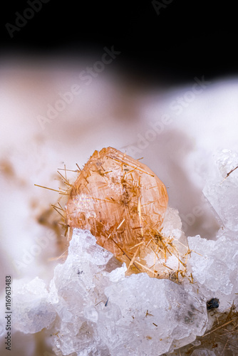 Monazite crystal with rutile spike. Specimen from Iselle Quarry, Trasquera, Italy. Micro photography extreme close-up. microscope mineral crystal photography for Scientific use.
 photo