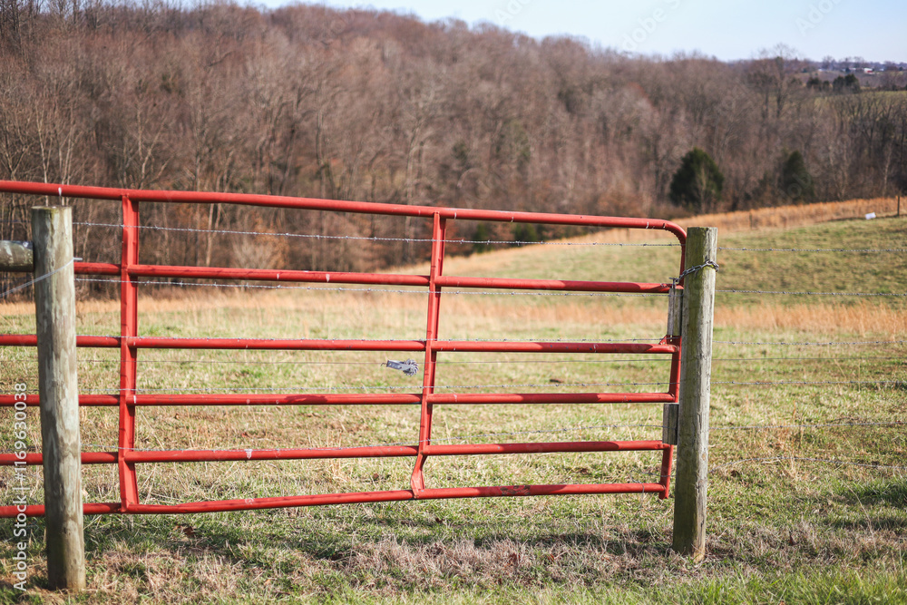 Fototapeta premium red metal gate on a farm