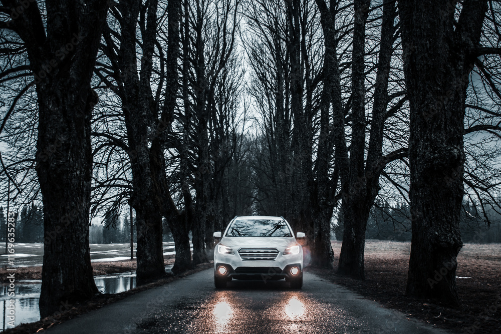 Silver Car on Wet Road Amid Tall Leafless Trees Under Overcast Sky Silver Car on Wet Road Amid Tall Leafless Trees Under Overcast Sky
