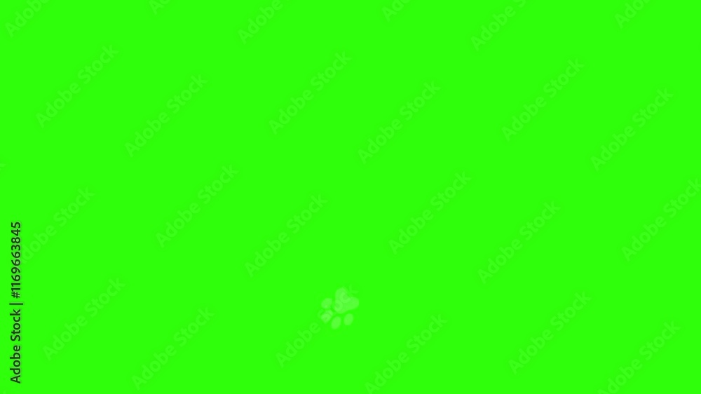 dog paw green screen or chroma key 4k animation dog paw green screen or chroma key 4k animation