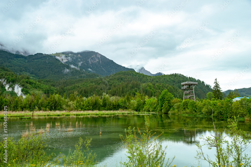 View over the bird sanctuary with observation tower in Pflach, Austria View over the bird sanctuary with observation tower in Pflach, Austria