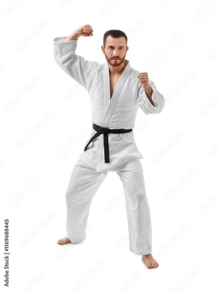 Man in uniform practicing karate on white background Man in uniform practicing karate on white background