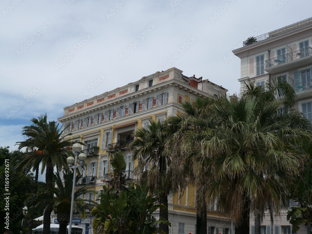 European Buildings with Palm trees European Buildings with Palm trees